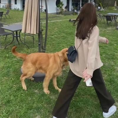 她的盛宴