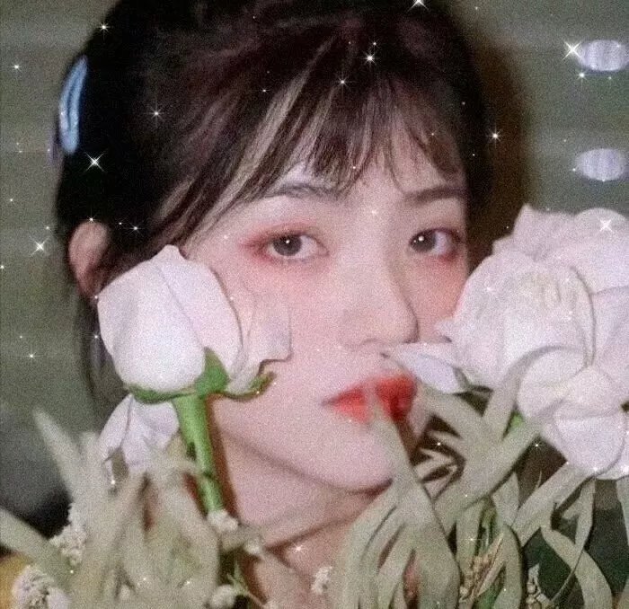 寻找爱丽丝